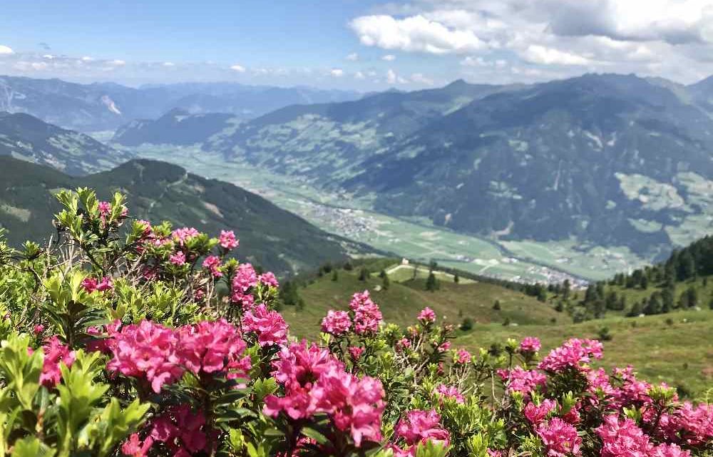 E-biken im Zillertal