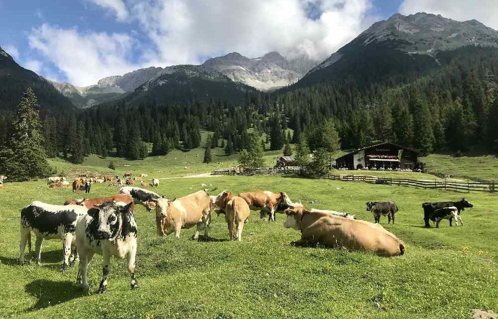 E-Bike Touren in Tirol